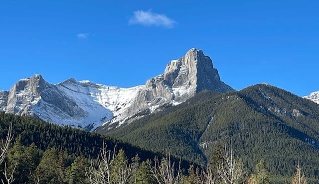 Snow-capped peak above the forested Bow Valley